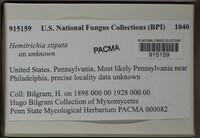 Image Associated With the Occurence